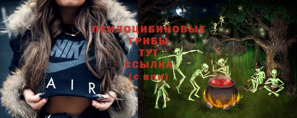 гашик Армянск
