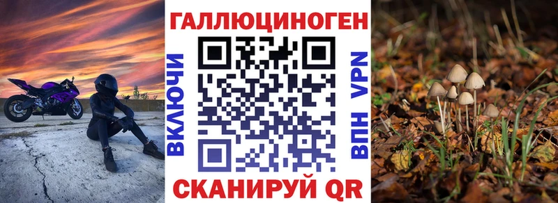 Галлюциногенные грибы Psilocybine cubensis hydra зеркало Урус-Мартан